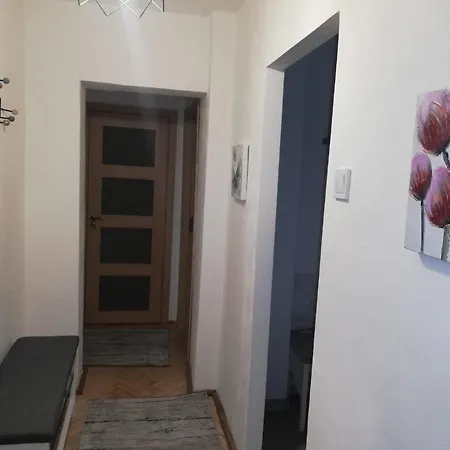 Apartment Dodo Cluj-Napoca