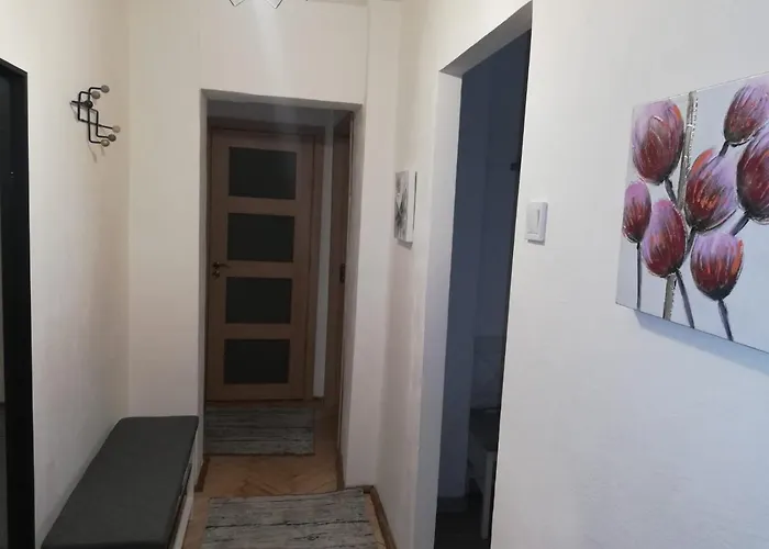 Daire Dodo Kaloşvar